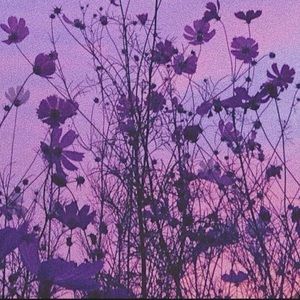 Meet your Posher, Juju